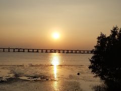 -宝安西湾红树林湿地公园