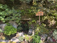 -豆政(金閣寺境内売店)