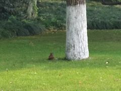 -浙江西子宾馆·瑶园咖啡厅