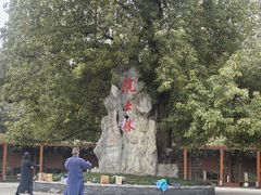 -龙头寺公园