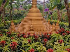 -南宫五洲植物乐园