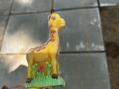 -秦皇岛野生动物园