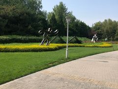 -望湖公园