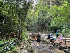 -火炉山森林公园