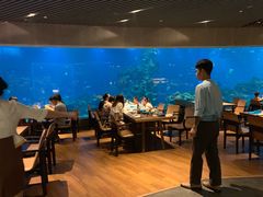 -海棠湾洲际-涛·海底餐厅·美人鱼·自助餐·海底隧道