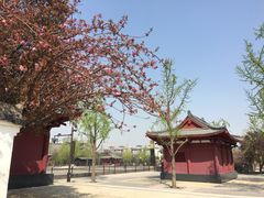 -大雁塔北广场音乐喷泉