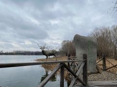 -溱湖国家湿地公园