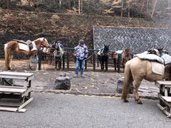 -富士山吉田線五合目