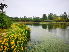 -东郊湿地公园