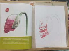 -八哥美术·成人美术画室(总校区)