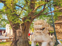 -北京石刻艺术博物馆(五塔寺)
