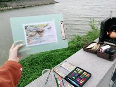 -大湾区中央湿地公园-十九涌