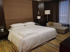 -扬州绿地铂骊酒店
