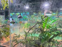 -上海大自然野生昆虫馆(东方明珠·爬宠昆虫探索中心)