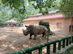 -郑州市动物园
