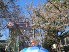 -鸡鸣寺
