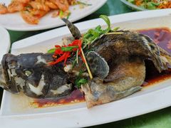 石斑鱼清蒸-四川小胡子海鲜(丁村万人海鲜广场店)