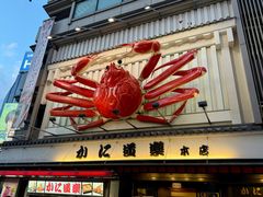 -蟹道乐(道顿堀本店)