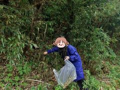 -武陵山森林公园