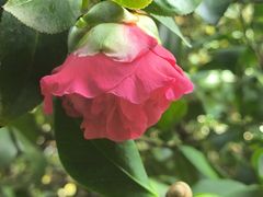 -成都市文化公园