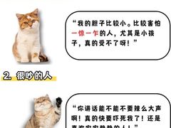 -萌兽医馆·犬猫专科·眼科中心·宠物医院(朝阳门分院)