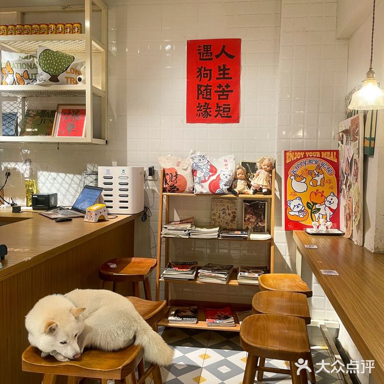 福州！柴犬食堂！还有谁没吃过的？！！ 