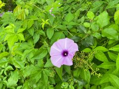 -东山湖温泉度假村