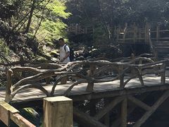 -本溪汤沟绿石谷森林公园