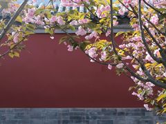 -天津大悲禅院