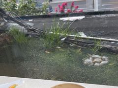 -麦当劳(乳山路店)