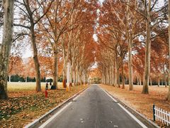 -河南省黄河迎宾馆