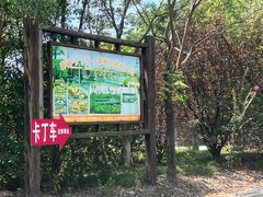 -上海海湾国家森林公园