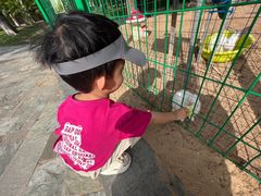 -三亚海棠湾万丽度假酒店