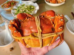 -君豪蟹都·湖景·农家乐(蟹舫苑店)