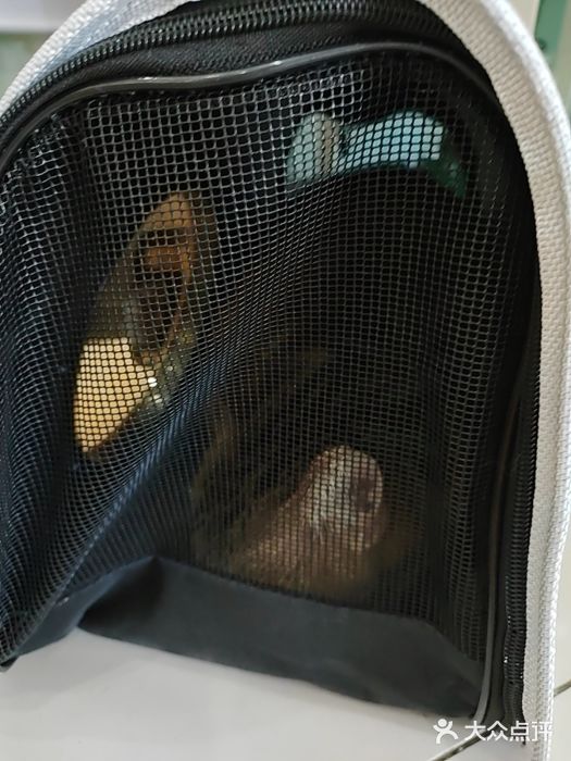 纳吉亚猫专科动物医院博雅分院图片