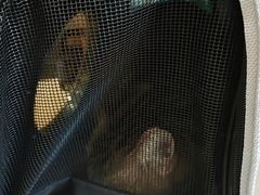 -纳吉亚猫专科动物医院博雅分院