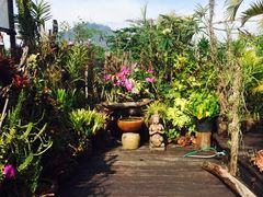 -自然餐厅(Phuket)