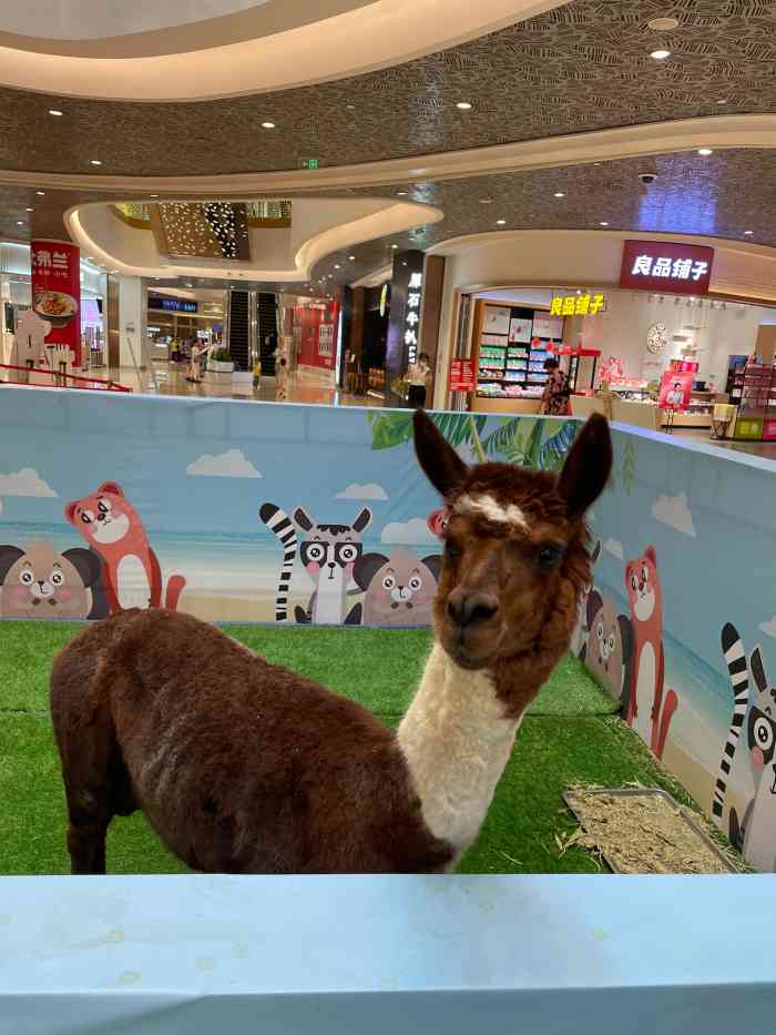 东海缤纷天地-"公司附近一家商场,车公庙很热闹但这个商场.