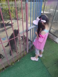 -萌宠亲子动物乐园(槐房万达店)