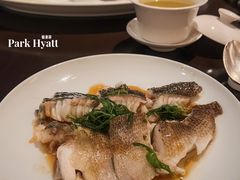 葱丝清蒸东星斑-广州柏悦酒店·悦景轩·粤菜餐厅