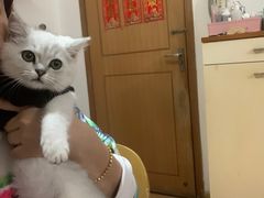 -袖虎宠物(锦绣生态园店)