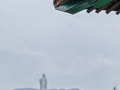 -中原大佛景区