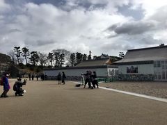 -名古屋城