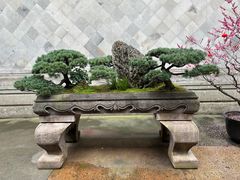 -胡雪岩故居