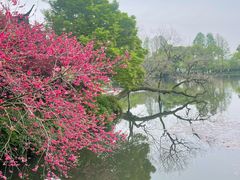 -灵隐飞来峰景区