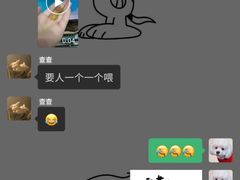 -伟伟宠物医院·CT影像中心·瑞派犬猫综合性门诊(汉口总院)