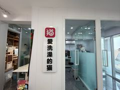 -爱洗澡的猫(望京店)