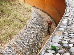 -野象谷景区