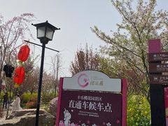 -古柏渡飞黄旅游区
