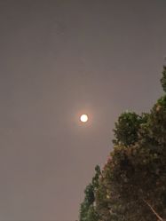 -HEYAN荷妍专业脱毛连锁机构